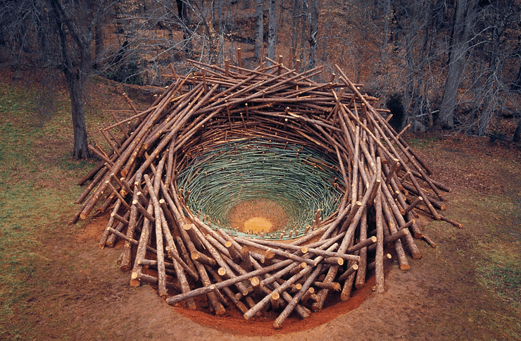 Nils Udo, 'Clemson Clay Nest', 2005, South Carolina