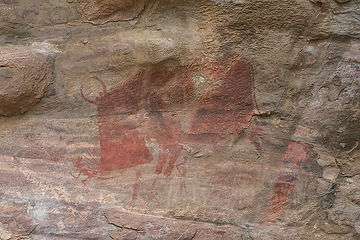 The only painting in the caves showing, "a man" being hunted by a beast, a horned boar.