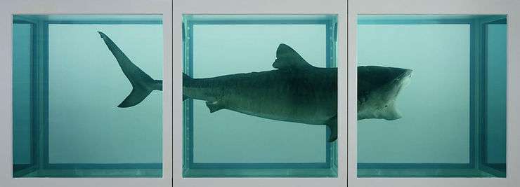 Damien Hirst, 'The Physical Impossibility of Death in the Mind of Someone Living', 1991