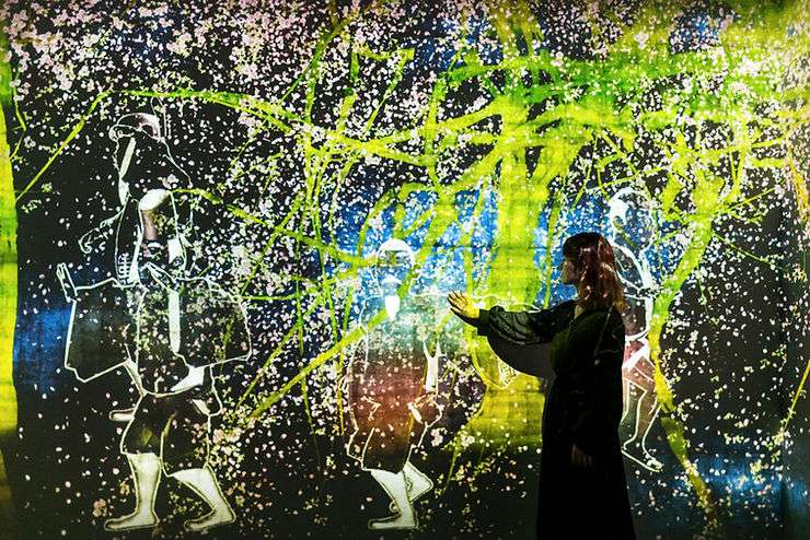  Art from the Digital Art Museum: teamLab Borderless.