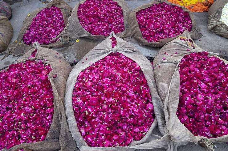 Flowers from Phool Mandi, Jaipur's Wholesale Flower Market