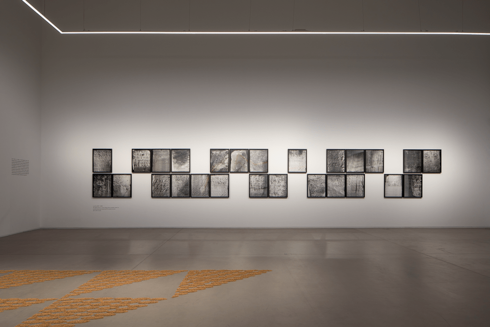 Navjot Altaf, Installation view of Lost Text (2017-2018). 24 digital prints on canson platine fiber rag paper pasted on archival conservation board and PVC transfer on acrylic, 64.7 x 52.1 cm each. Shown in Navjot Altaf: Pattern at Ishara Art Foundation, 2022. Image courtesy of Ishara Art Foundation and the artist. Photo by Ismail Noor/Seeing Things.